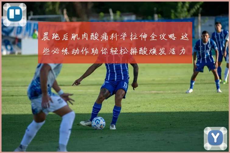 晨跑后肌肉酸痛科学拉伸全攻略 这些必练动作助你轻松排酸焕发活力