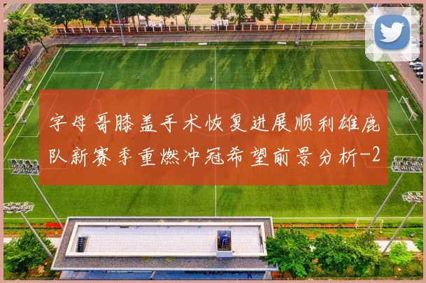 字母哥膝盖手术恢复进展顺利雄鹿队新赛季重燃冲冠希望前景分析
